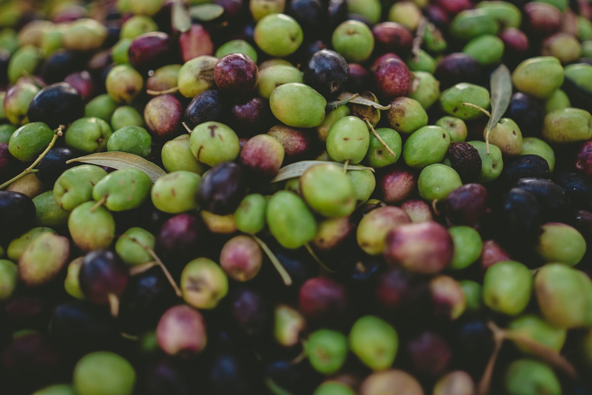 Mediterranean cooking preparation with fresh ingredients